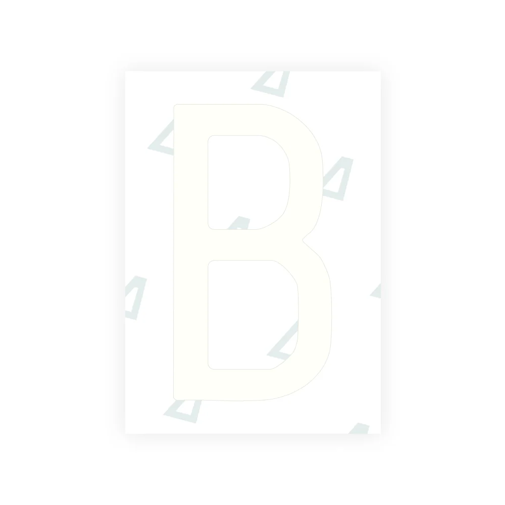 Alite Nanofilm for CA (British Columbia) license plates - Symbol "B" - Image 2