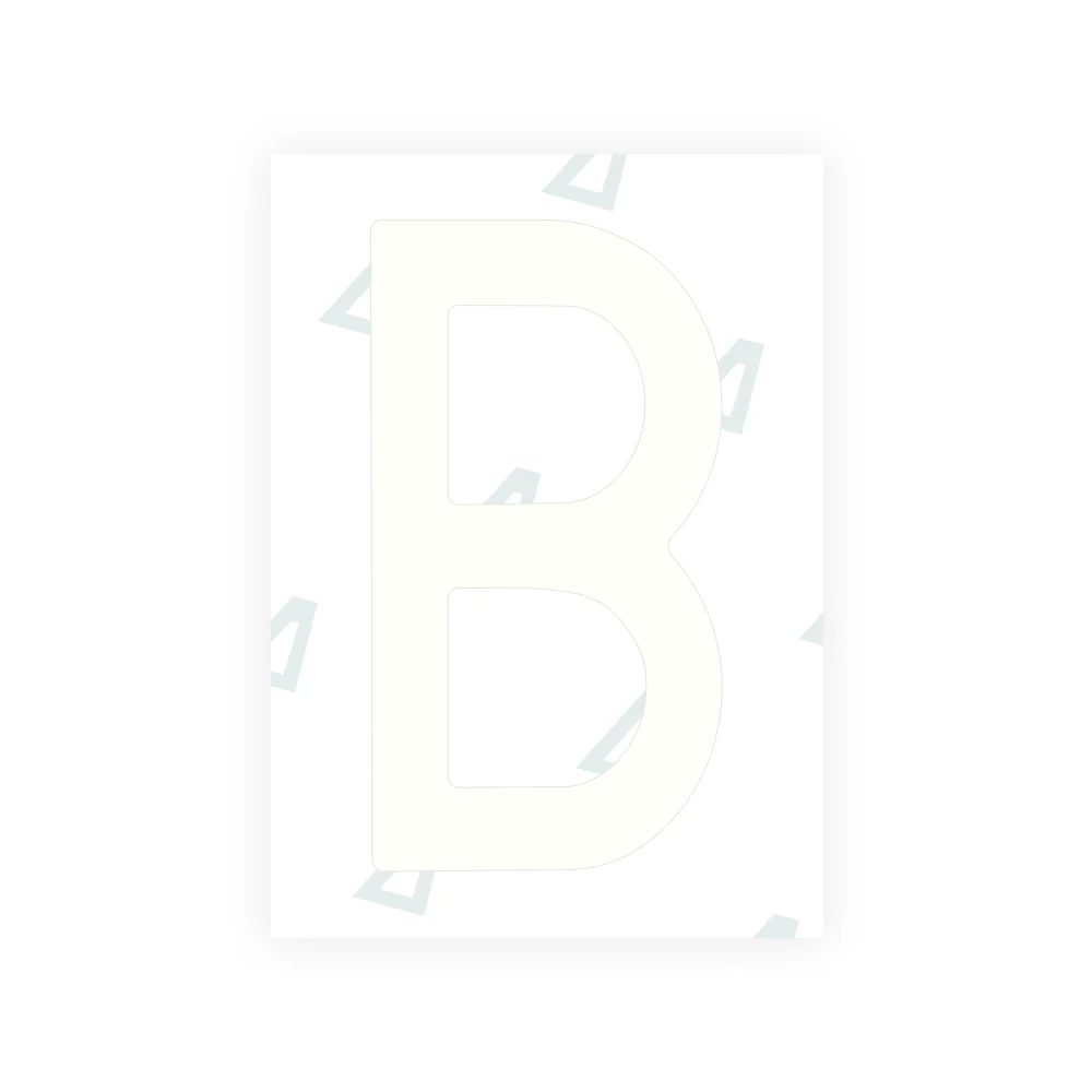 Alite Nanofilm for Sweden number plates - Symbol "B" - Image 2