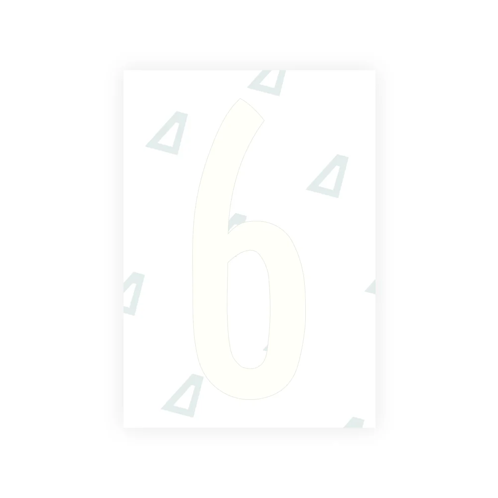 Alite Nanofilm for US (Kentucky - Flat) license plates - Symbol "6" - Image 2