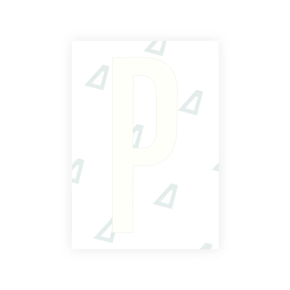 Alite Nanofilm for US (Kentucky - Flat) license plates - Symbol "P" - Image 2