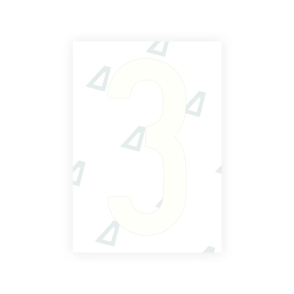 Alite Nanofilm for US (Louisiana) license plates - Symbol "3" - Image 2