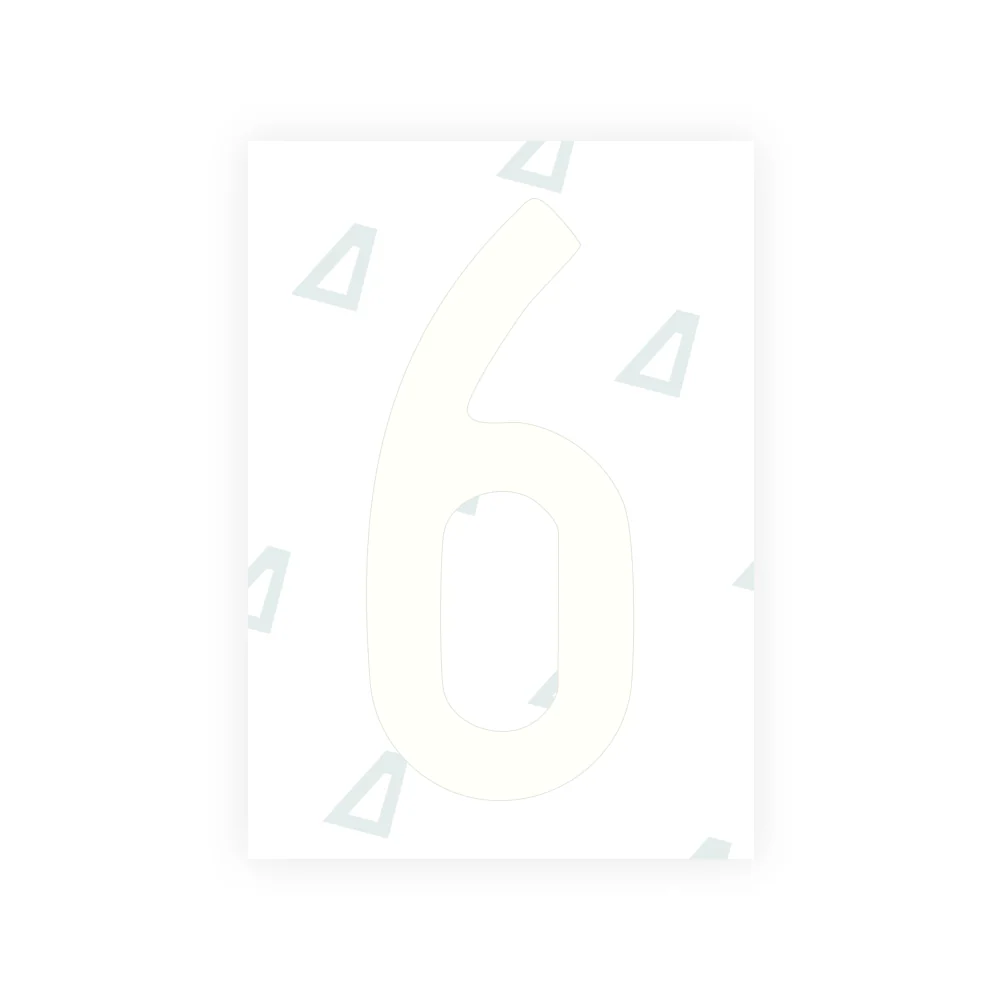 Alite Nanofilm for US (Louisiana) license plates - Symbol "6" - Image 2