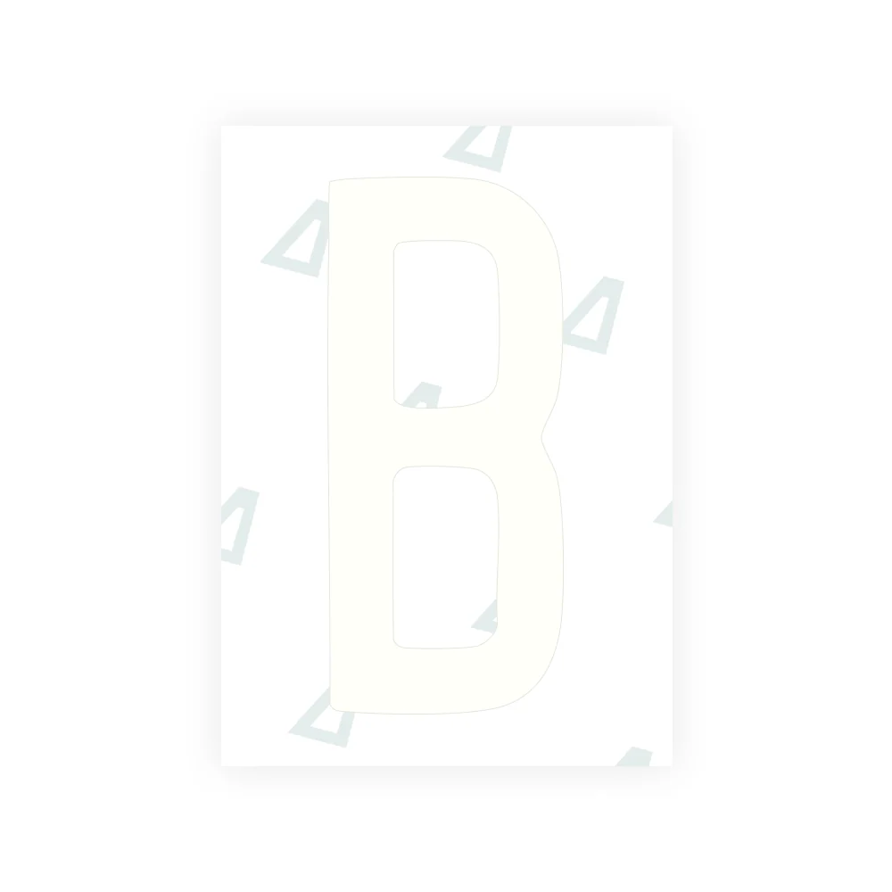 Alite Nanofilm for US (Louisiana) license plates - Symbol "B" - Image 2