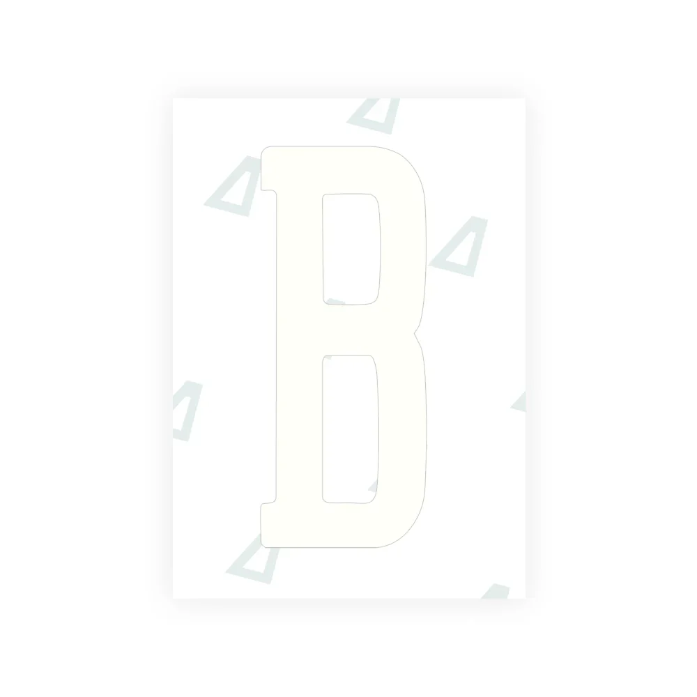 Alite Nanofilm for US (Montana) license plates - Symbol "B" - Image 2