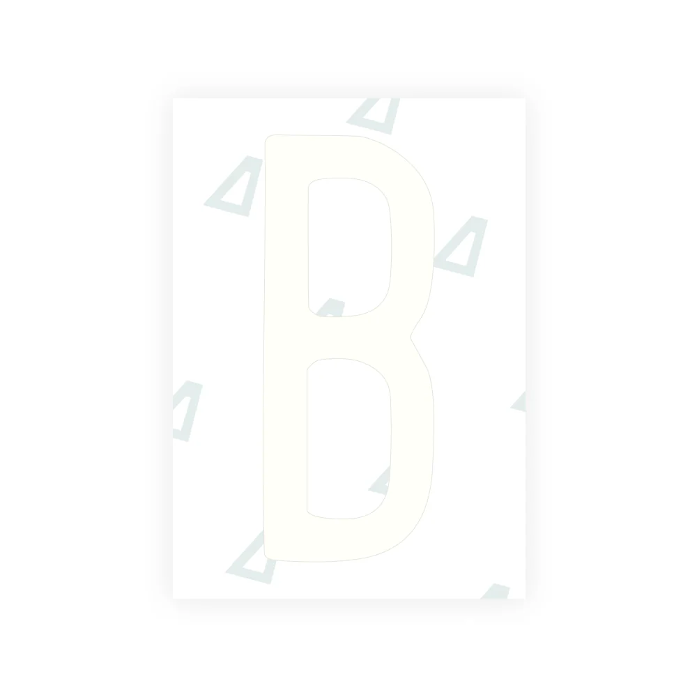 Alite Nanofilm for US (Nevada 2024 - Embossed) license plates - Symbol "B" - Image 2