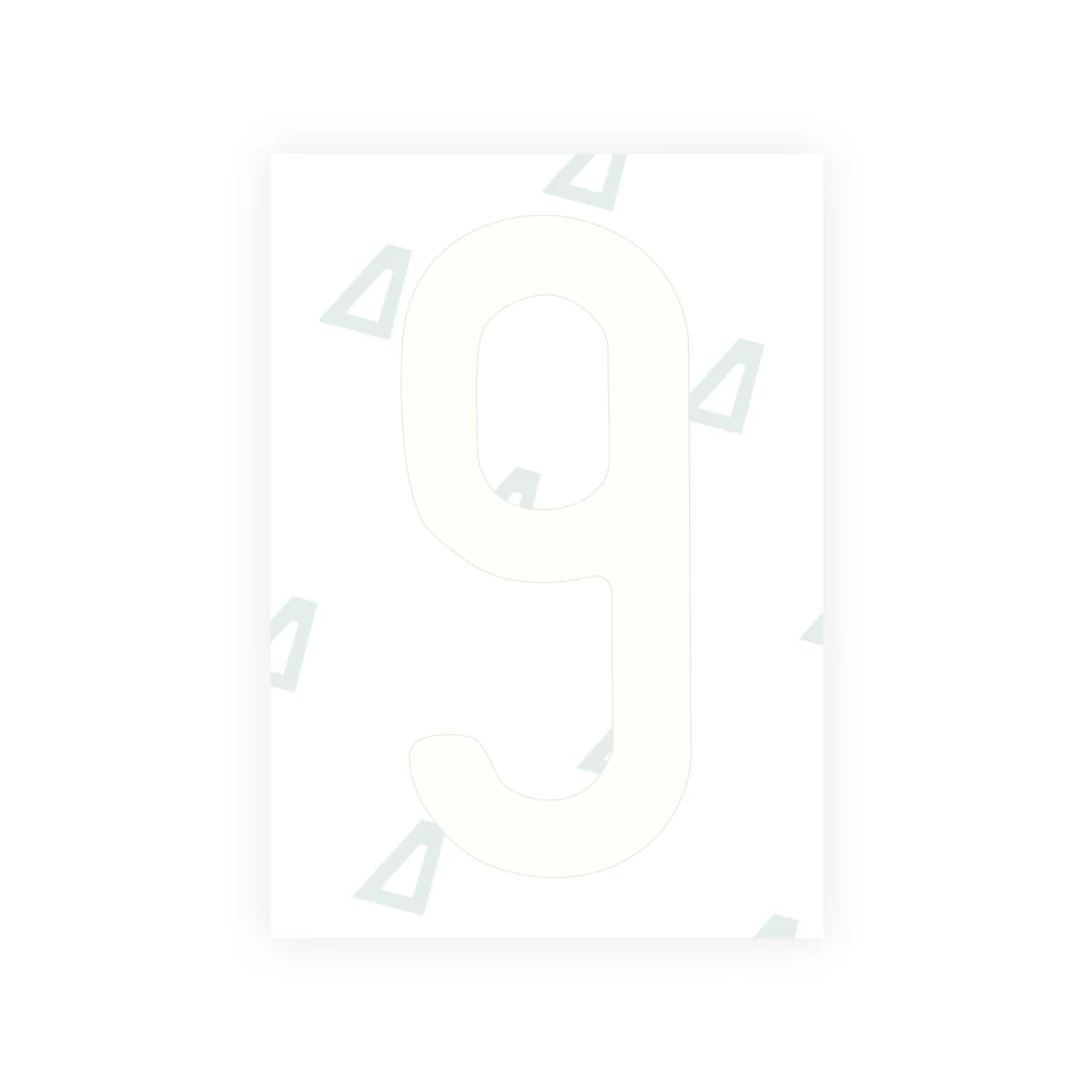 Alite Nanofilm for US (Maine) license plates - Symbol "9" - Image 2