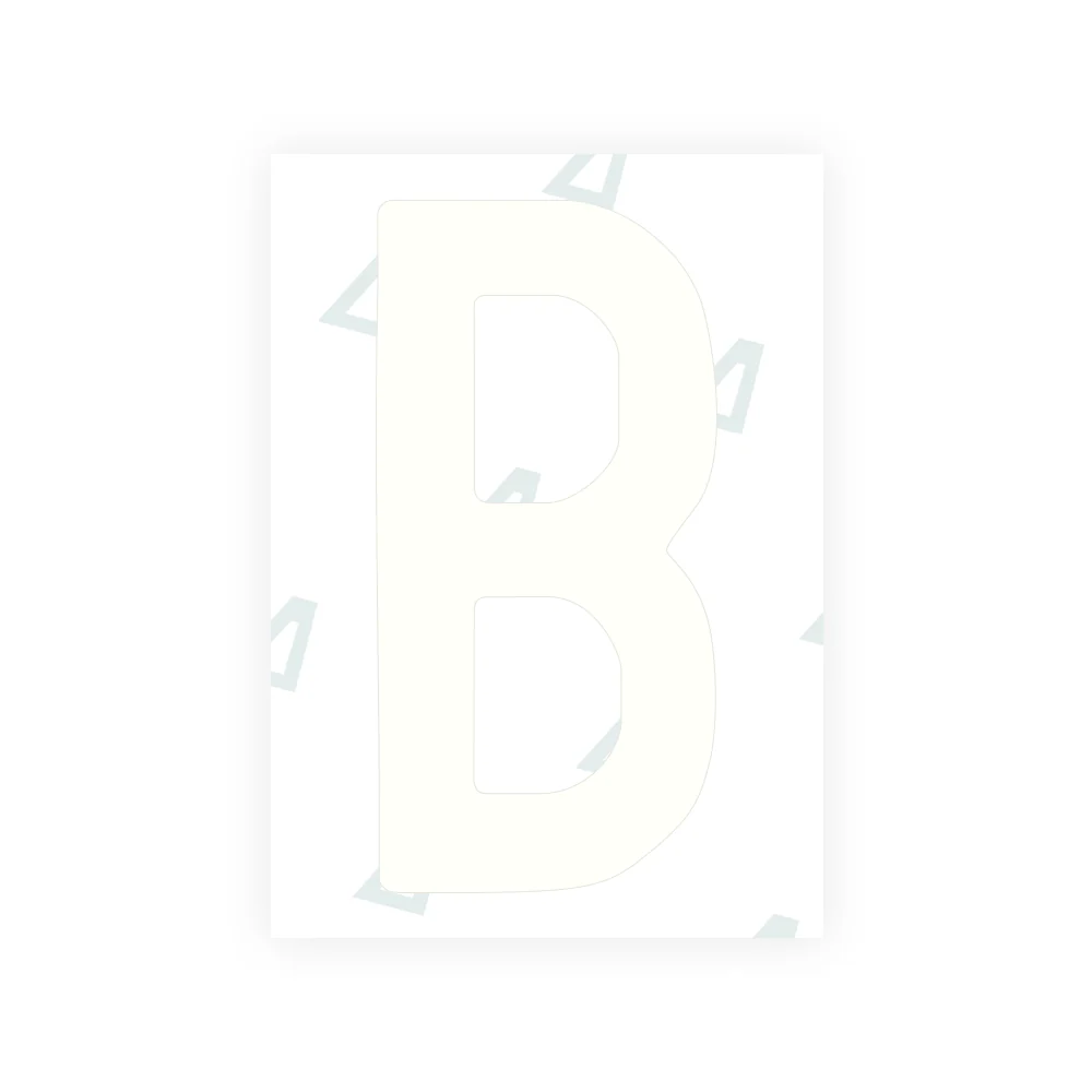 Alite Nanofilm for US (North Dakota) license plates - Symbol "B" - Image 2