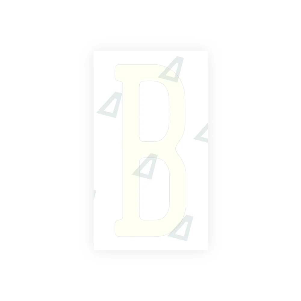 Alite Nanofilm for US (Pennsylvania 2025) license plates - Symbol "B" - Image 2