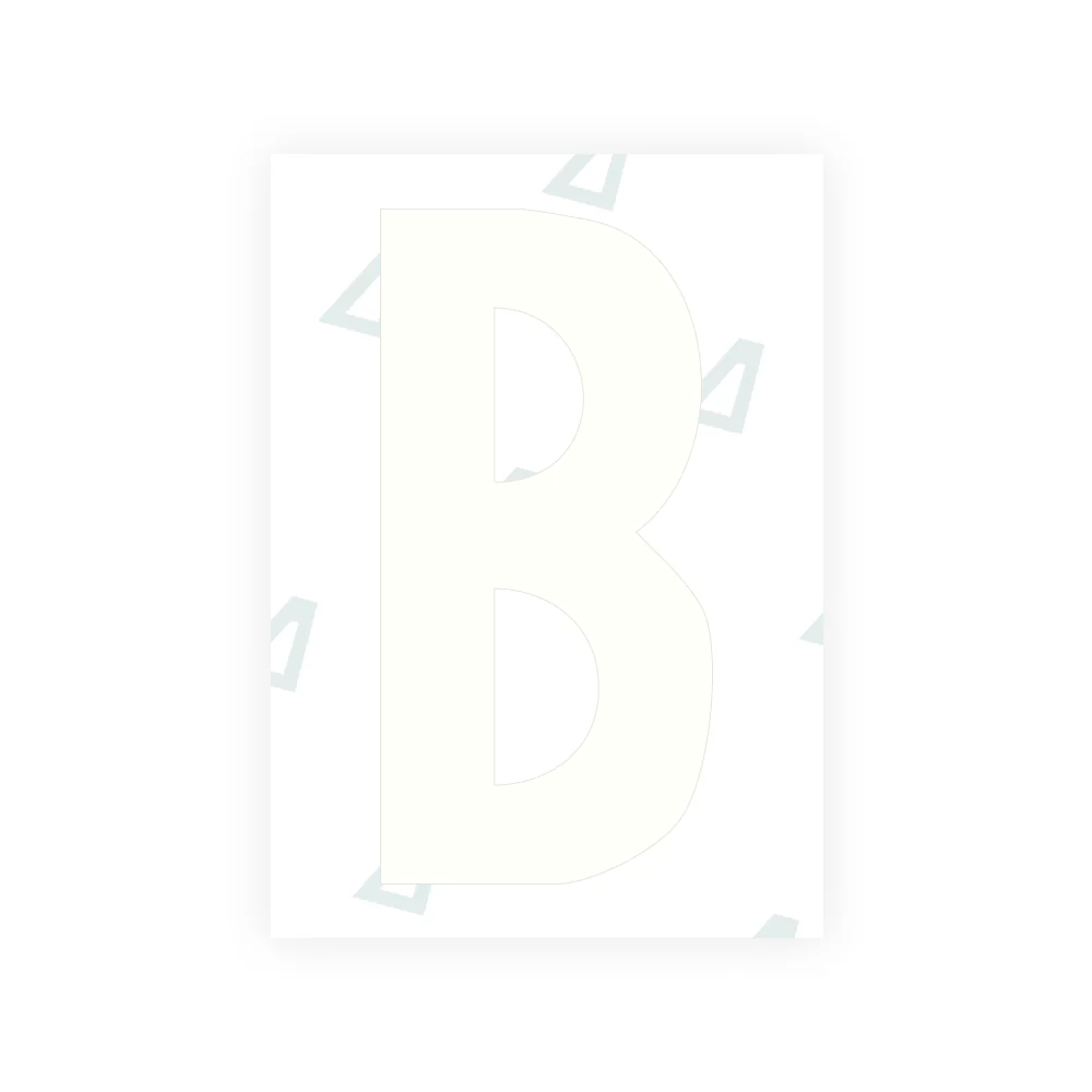 Alite Nanofilm for US (South Dakota) license plates - Symbol "B" - Image 2