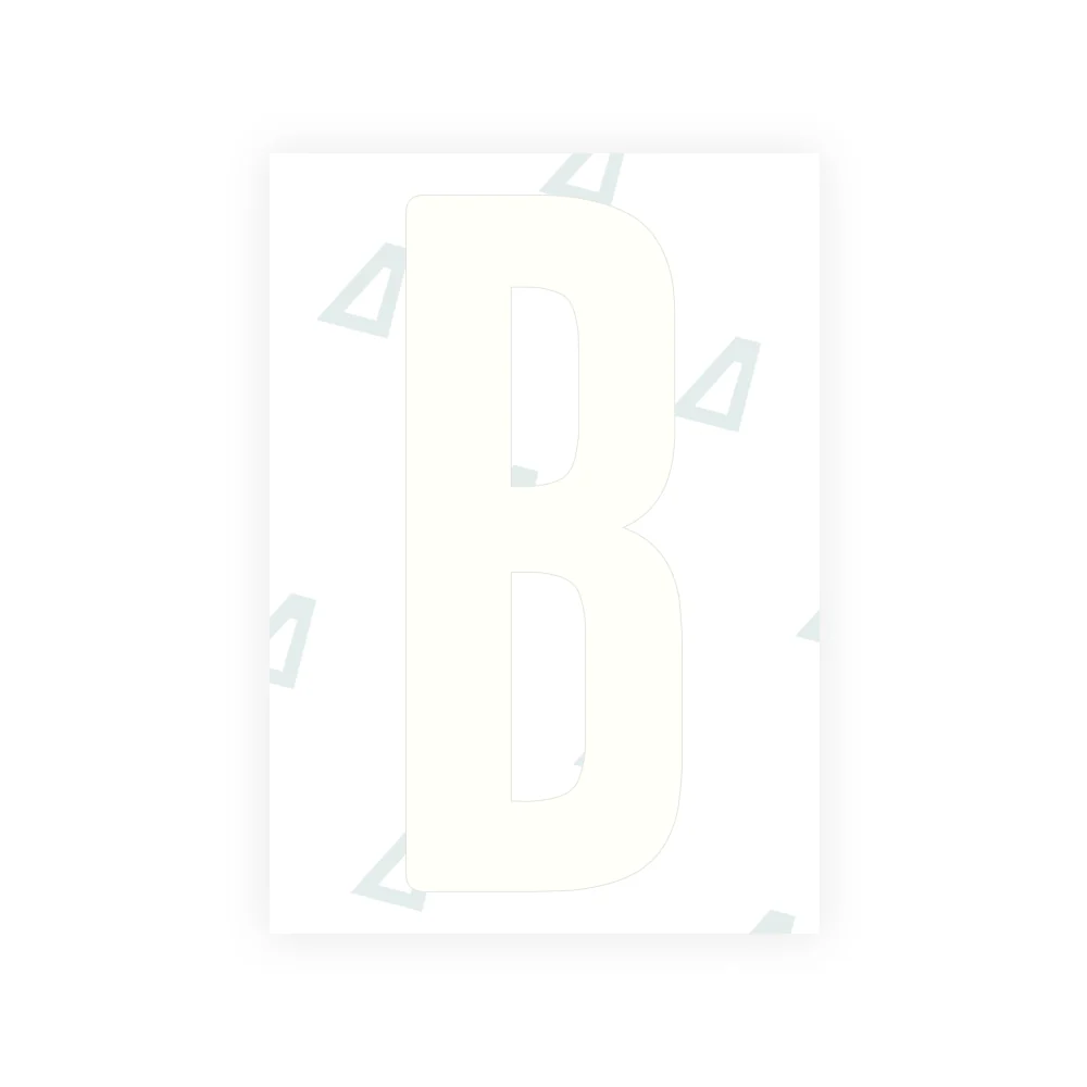 Alite Nanofilm for US (Wyoming 2008) license plates - Symbol "B" - Image 2