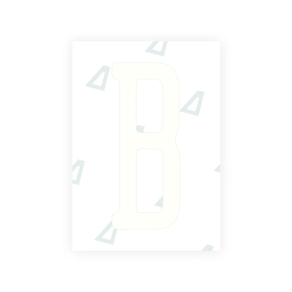 Alite Nanofilm for US (Illinois 2006 - Round) license plates - Symbol "B" - Image 2