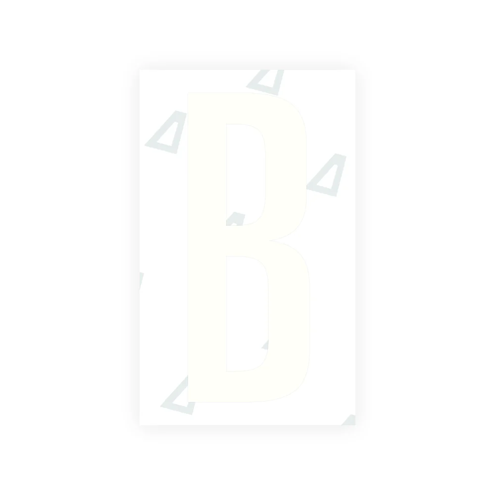 Alite Nanofilm for US (Nevada) license plates - Symbol "B" - Image 2