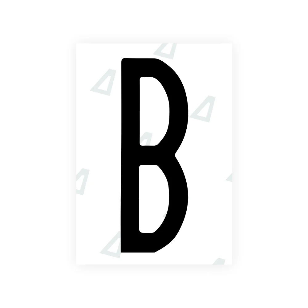 Alite Nanofilm for US (New York 2020 - Flat) license plates - Symbol "B"