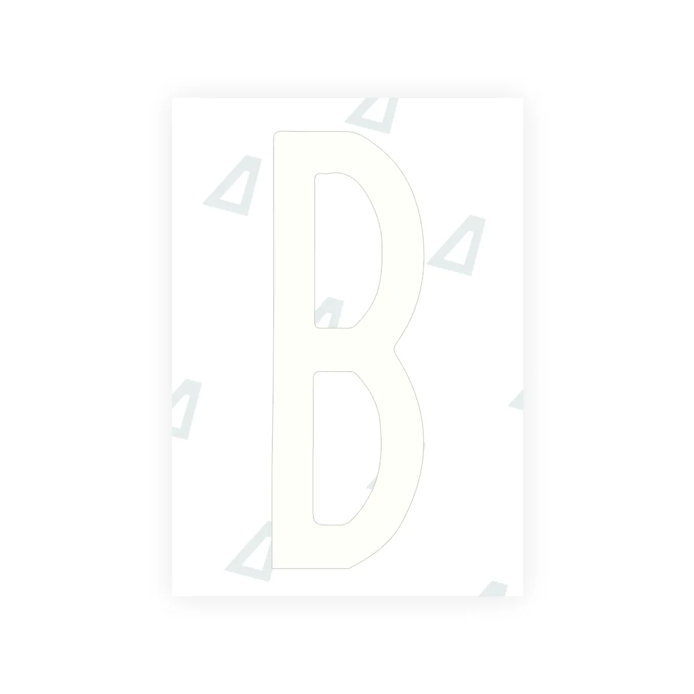 Alite Nanofilm for US (New York 2020 - Flat) license plates - Symbol "B" - Image 2
