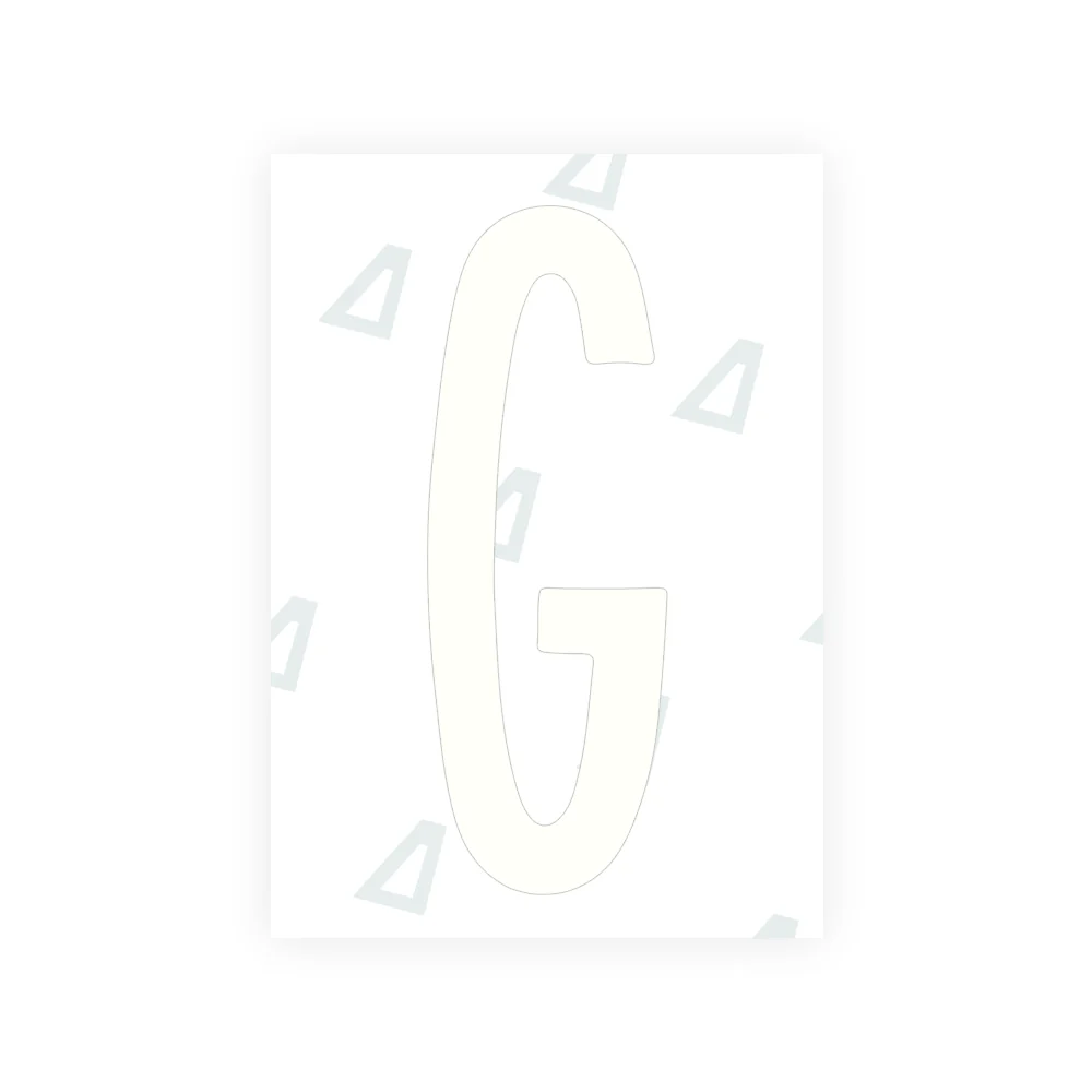 Alite Nanofilm for US (New York 2020 - Flat) license plates - Symbol "G" - Image 2