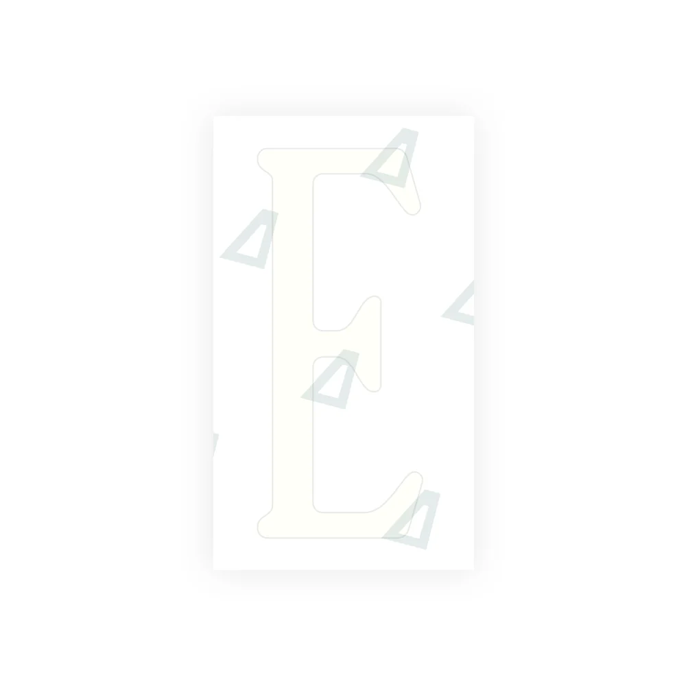 Alite Nanofilm for US (Virginia) license plates - Symbol "E" - Image 2