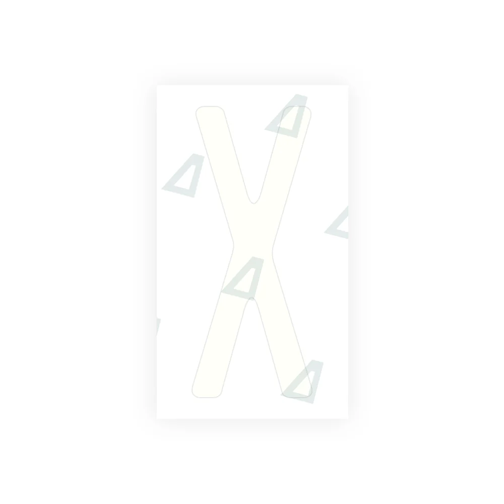 Alite Nanofilm for US (Wisconsin) license plates - Symbol "X" - Image 2
